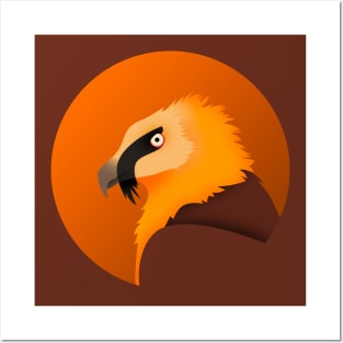 Bearded Vulture Posters and Art